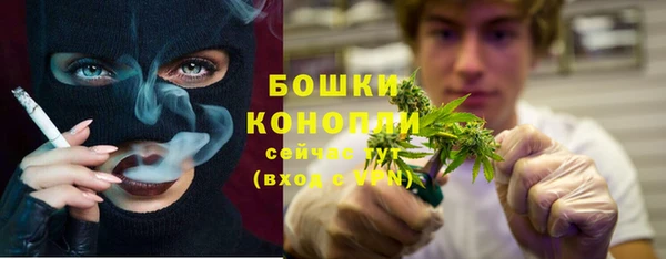 apvp Горняк