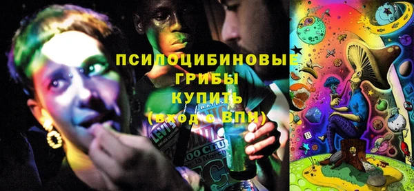 apvp Горняк