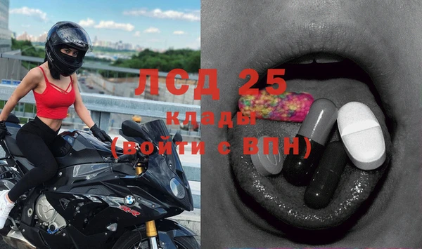 apvp Горняк